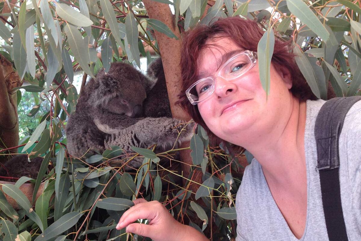 koala